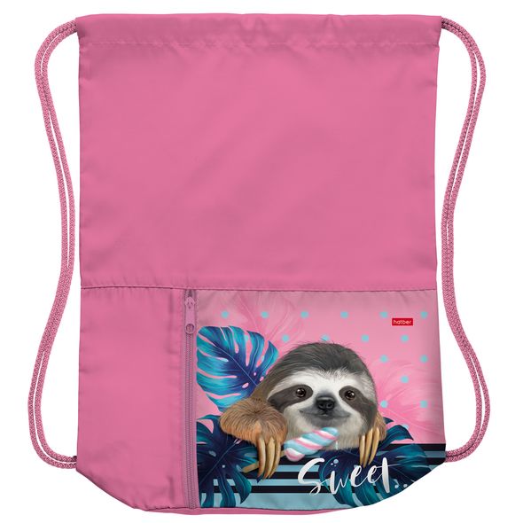 Мешок для сменной обуви Hatber 34х41 см с карманом на молнии 2 отделения -Ленивец-  в индив.упак. , 